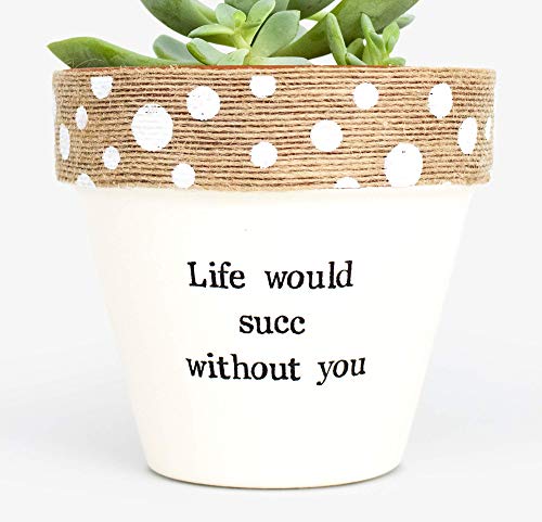 Personalized Succulent Planter - Cute Indoor Plant Pot for Best Friend, Girlfriend, Bridesmaid, Mom - Unique Birthday Gift Idea for Home, Office, or Garden Decor