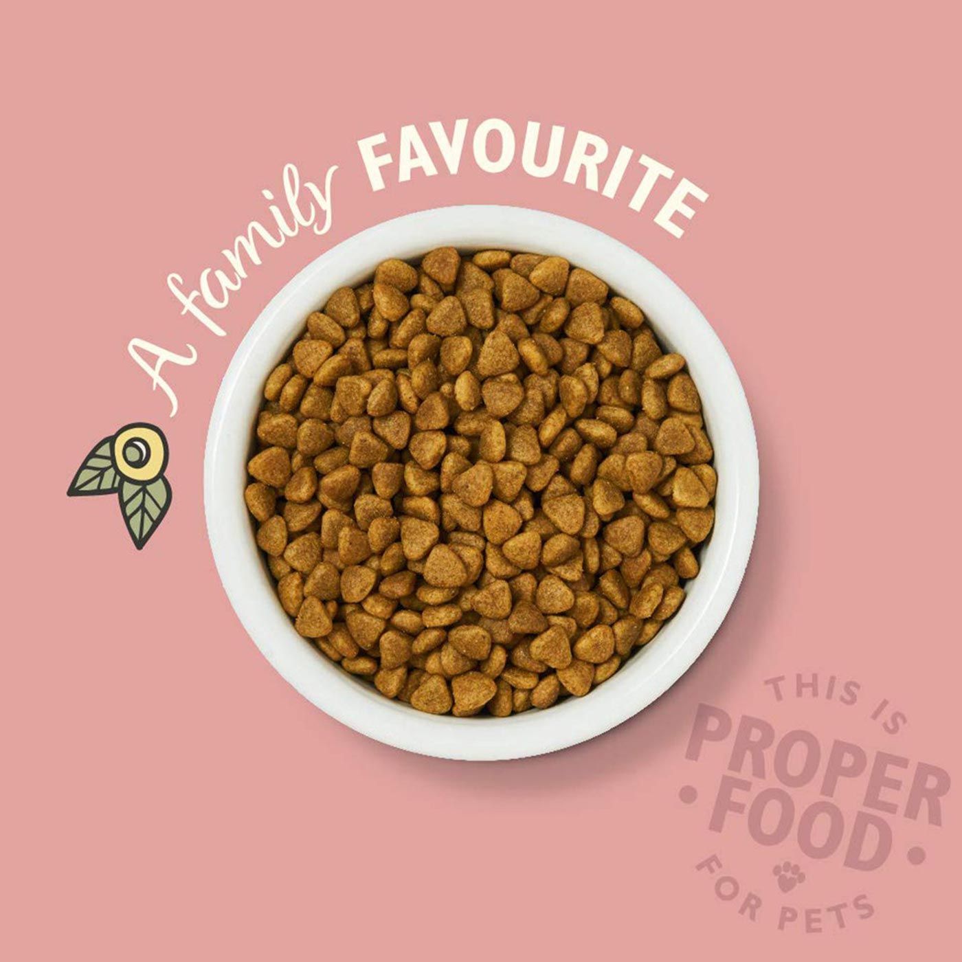 Lily's Kitchen Premium Grain-Free Dry Cat Food with Real Chicken - 2KG Bag for Adult Cats - High Protein, Natural Ingredients - Perfect for Indoor & Outdoor Cats