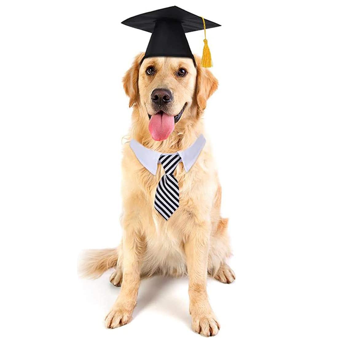 2pcs Mini Graduation Cap for Pets - Dog & Cat Graduation Hat, Costume Accessory for Pet Graduation, Birthday, Photo Shoots & Dress Up Parties