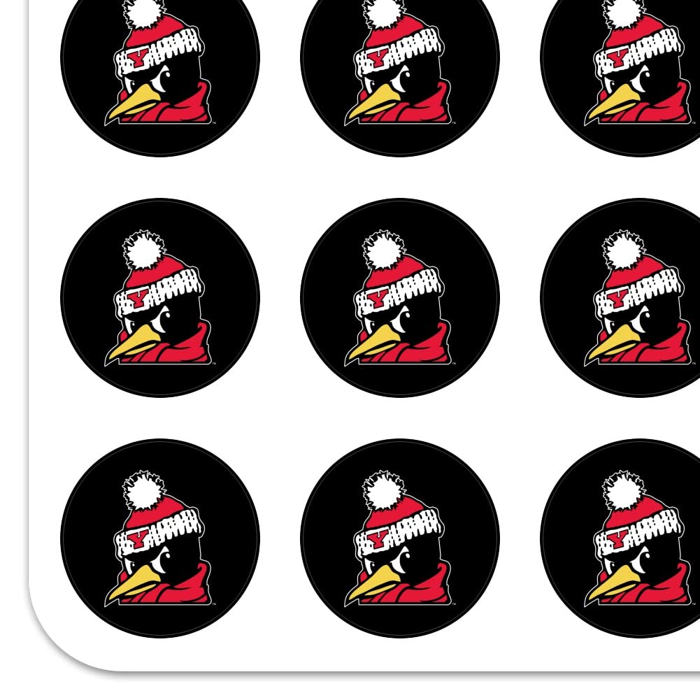 Youngstown State University Secondary Logo 1 Inch Planner Stickers - Clear Scrapbooking & Crafting Decals for Bullet Journals, DIY Projects, and School Supplies