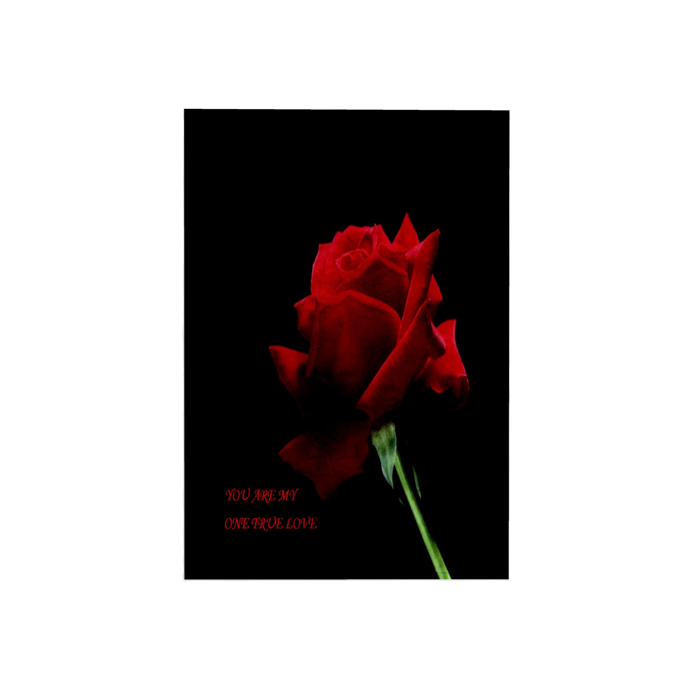 3D Rose 'You Are My One True Love' Single Red Rose on Black Towel - 15