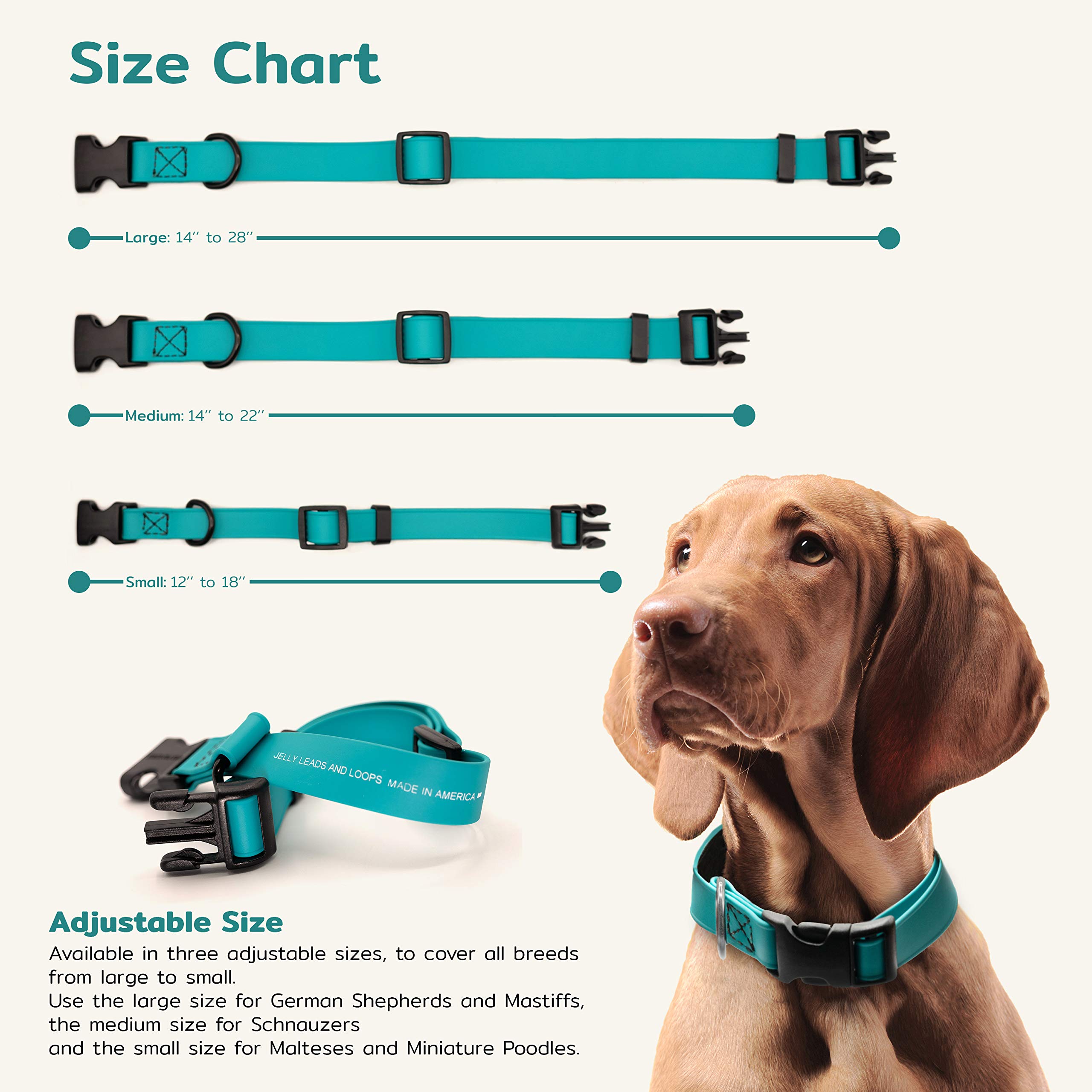 Waterproof & Easy-to-Clean Jelly Pet Collar - Stronger Than Leather - Made in USA - Small Size (3/4
