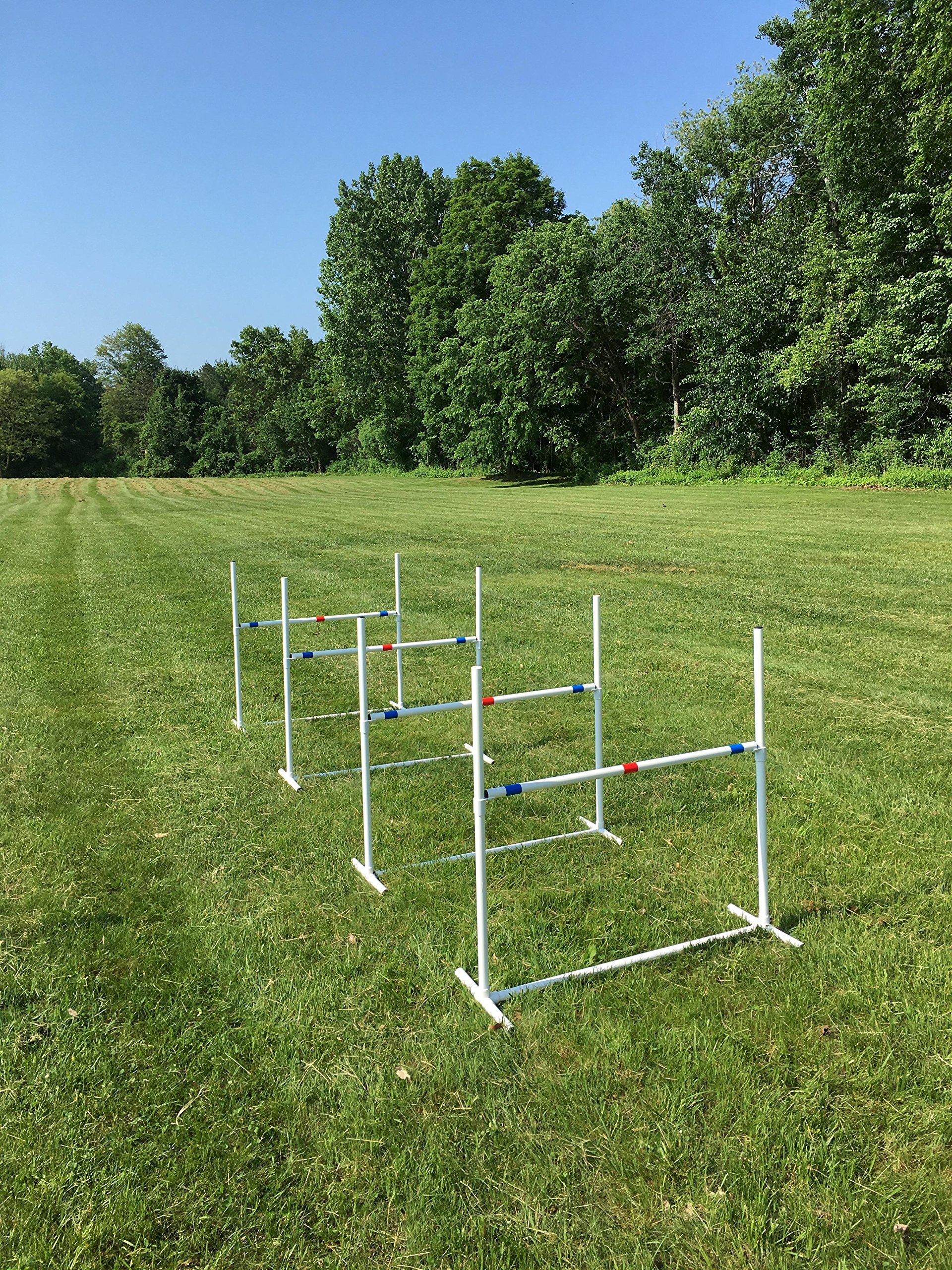 Adjustable Dog Agility Jump Set - 4 Bar Jumps with Jump Cups for Training & Competition | Portable Travel Agility Equipment for Backyard, Park & Outdoor Use