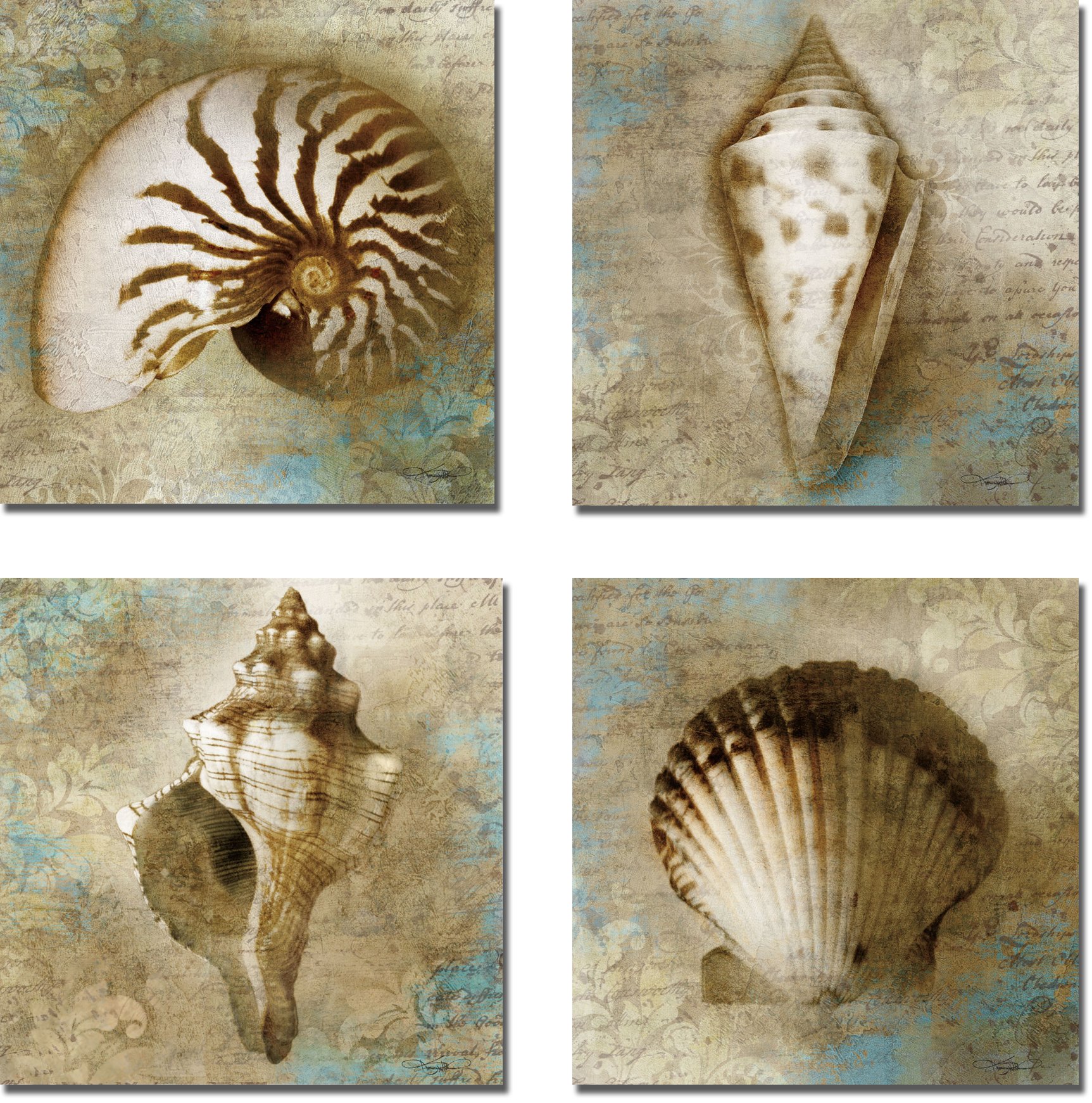 Keith Mallett Seaside Shells & Nautical Beauty 4-Piece Premium Stretched Canvas Wall Art Set - Ready to Hang Coastal Home Decor for Living Room, Bedroom or Beach House