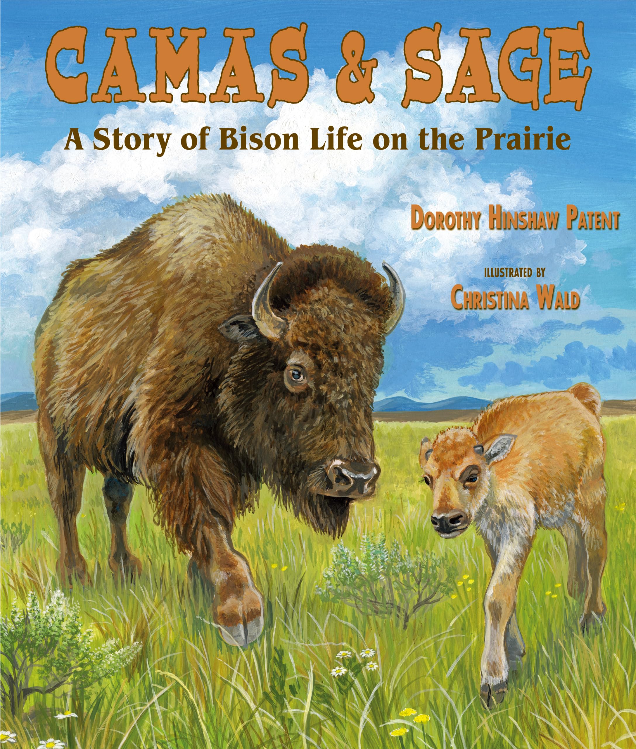 Bison Life on the Prairie: Camas & Sage - Authentic Native American Storybook | Perfect for History Buffs, Nature Lovers & Classroom Learning