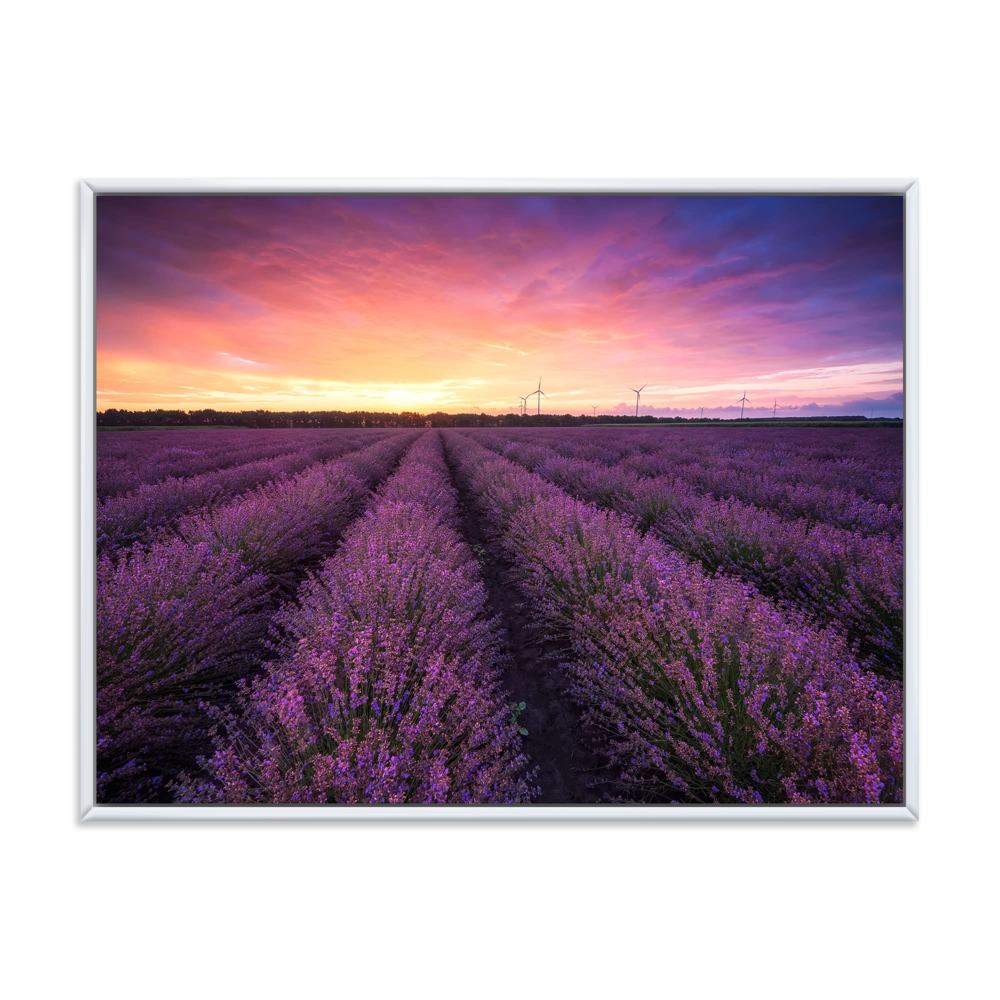Sunrise & Dramatic Clouds Over Lavender Field XIII - Farmhouse Framed Canvas Wall Art Print - Perfect for Living Room, Bedroom & Office Decor