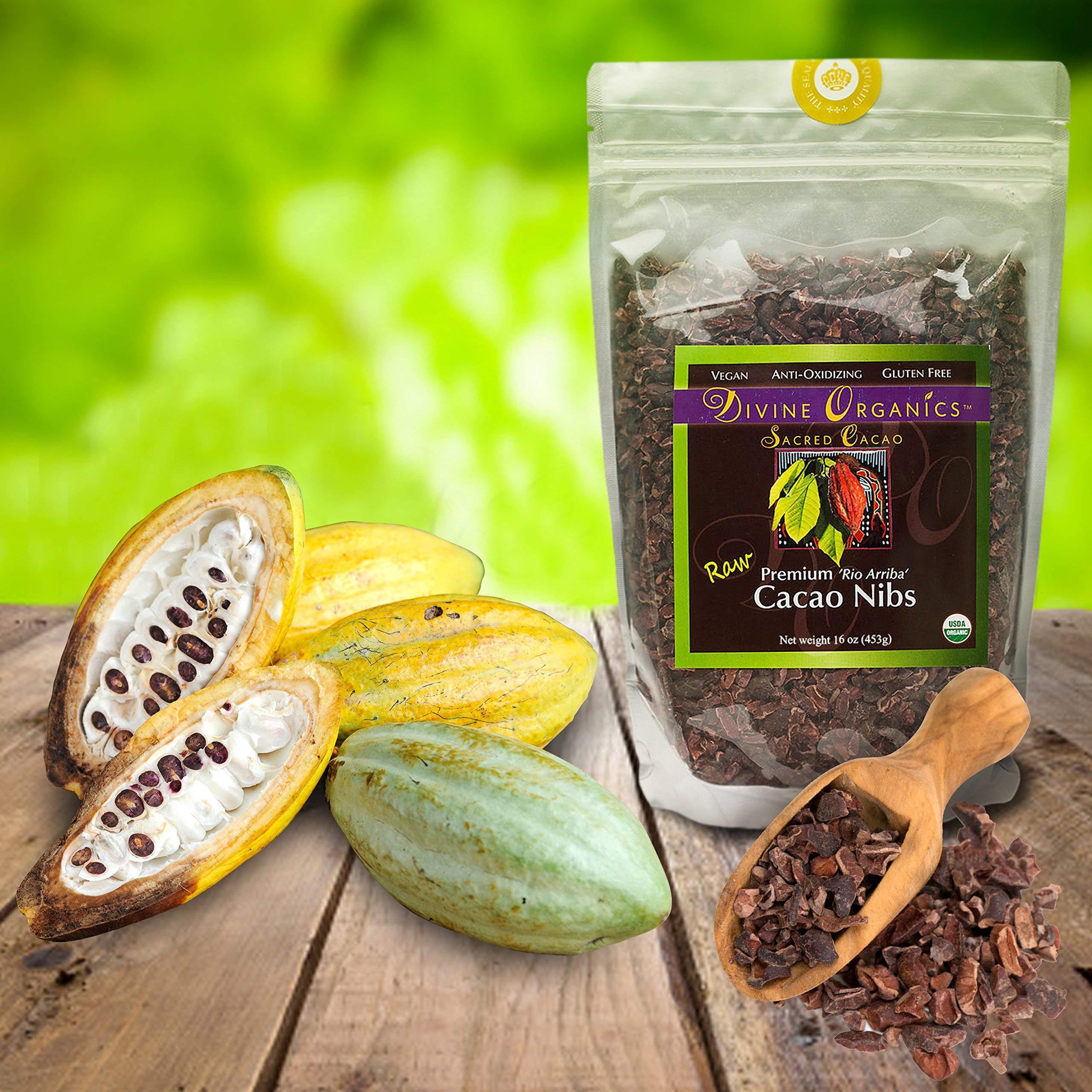 Divine Organics Raw Cacao Nibs 16oz - USDA Certified Organic Premium Rio Arriba Cacao - High in Magnesium & Antioxidants - Perfect for Smoothies, Baking, Snacks, Salads & Trail Mixes - Healthy Chocolate Chips Alternative - Great for Energy Boosting & Healthy Desserts