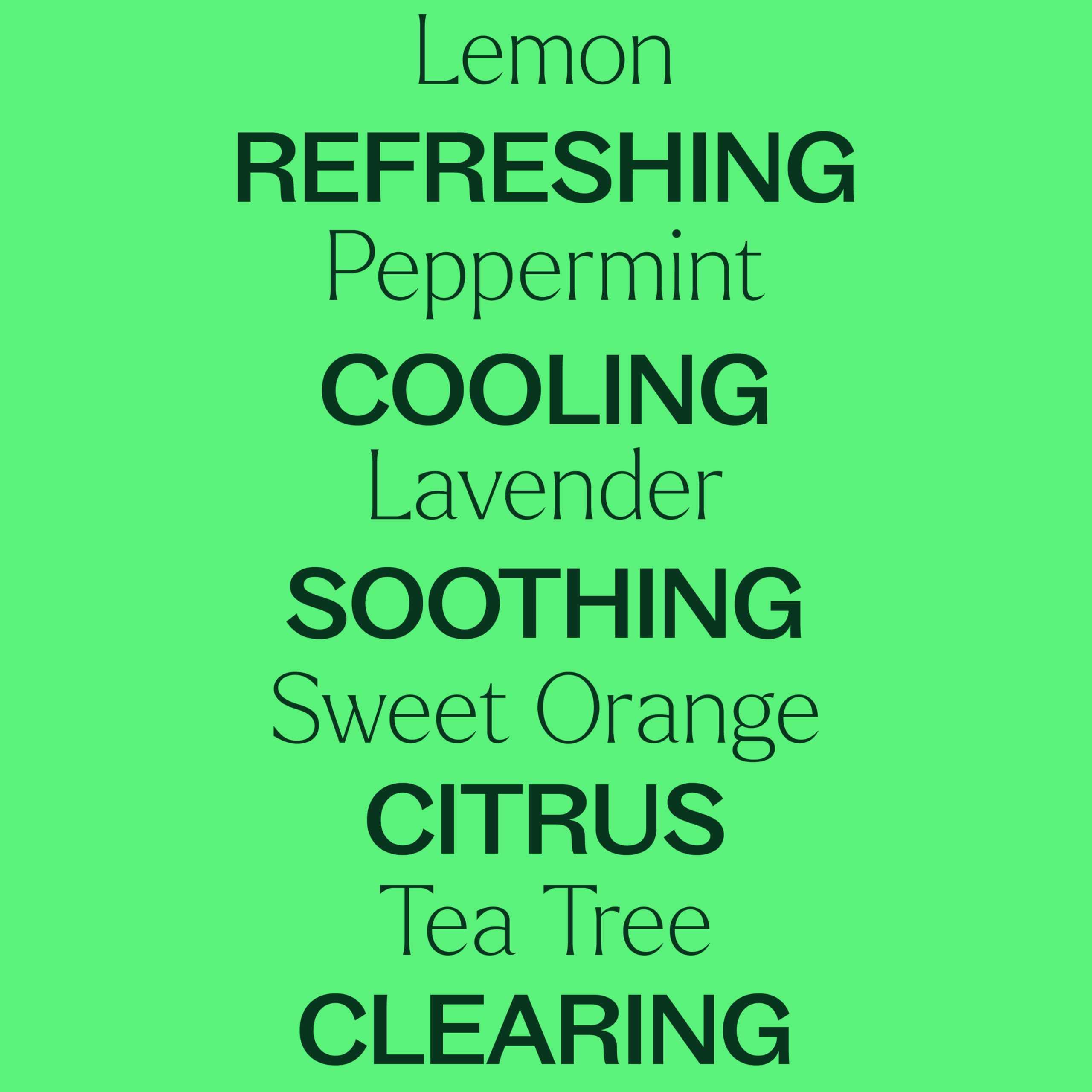 Plant Therapy Top 14 Organic Essential Oil Singles Set - 100% Pure, Undiluted Natural Aromatherapy Oils for Diffusers & Body Care - 10mL (1/3 oz) Each - Perfect for Relaxation, Stress Relief & Home Fragrance
