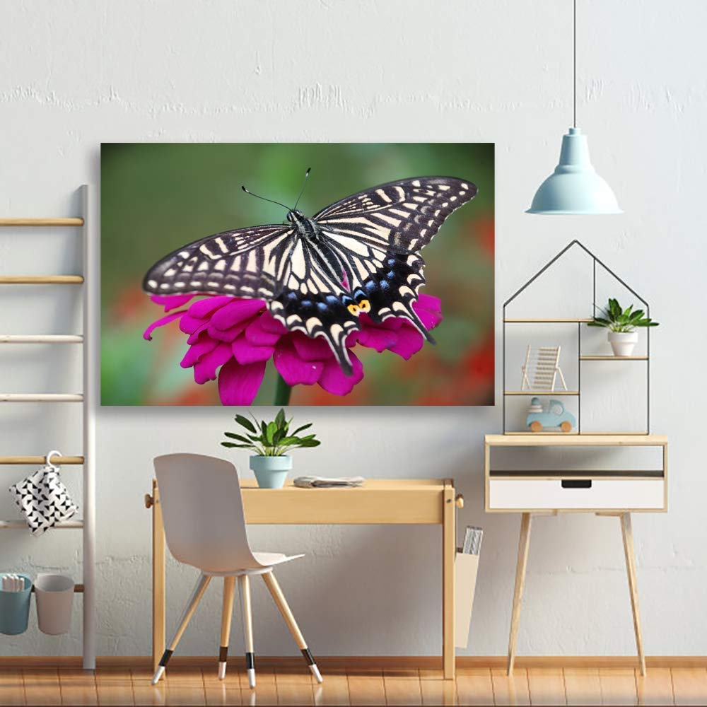 Beautiful Butterfly Giclee Canvas Wall Art - 32x48 Inches Modern Home Decor for Bedroom, Living Room, Office & Nursery