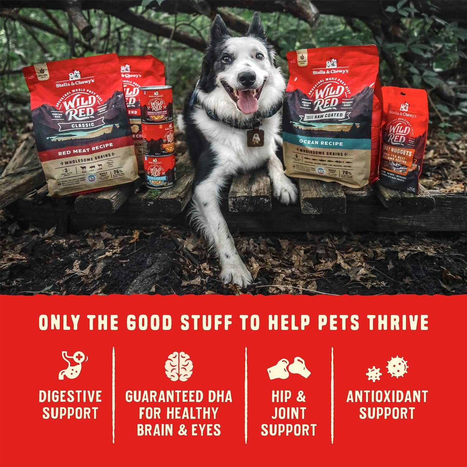 Stella & Chewy's Wild Red Dry Dog Food - High Protein Raw Coated Puppy Food with Wholesome Grains, Prairie Recipe, 21 lb Bag | Perfect for Growing Puppies & Active Dogs - Ideal for Training, Daily Meals & Outdoor Adventures