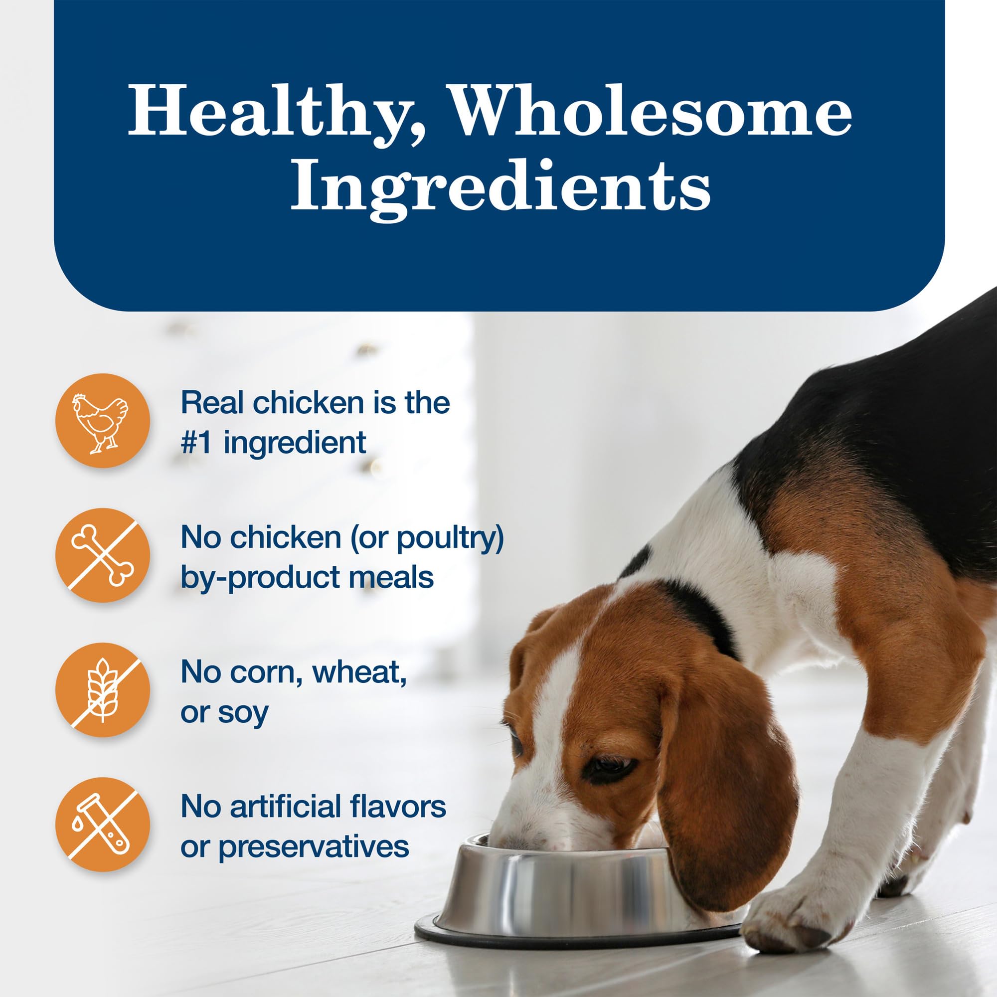 Blue Buffalo Homestyle Recipe Large Breed Adult Wet Dog Food - Natural Chicken & Garden Vegetables - 12.5oz Cans (Pack of 12) | High Protein Meal for Active Dogs, Perfect for Daily Feeding & Training Rewards