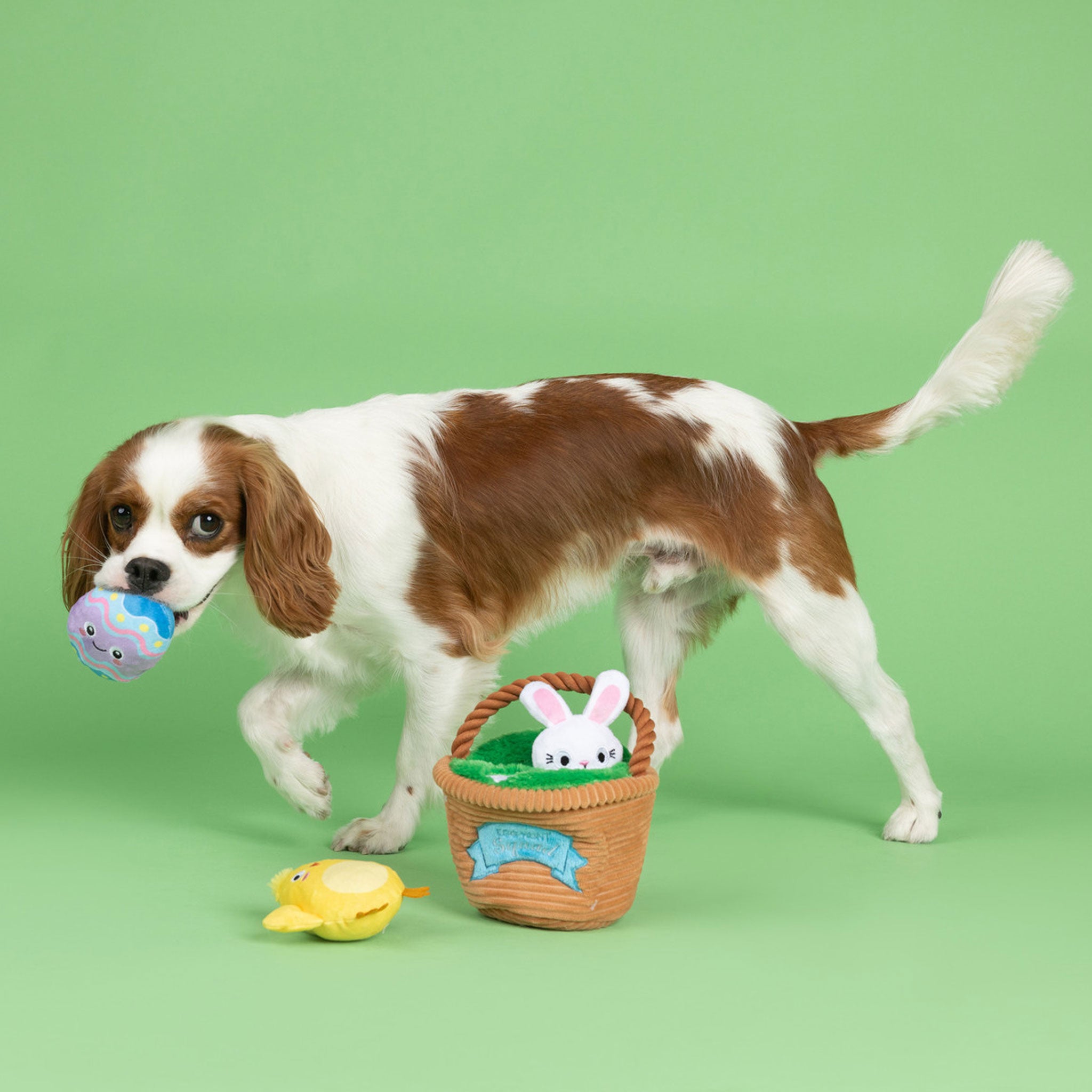 Premium Fringe Egg Hunt Burrow Interactive Dog Toys for Small & Large Breeds - Perfect for Indoor Play, Training & Mental Stimulation