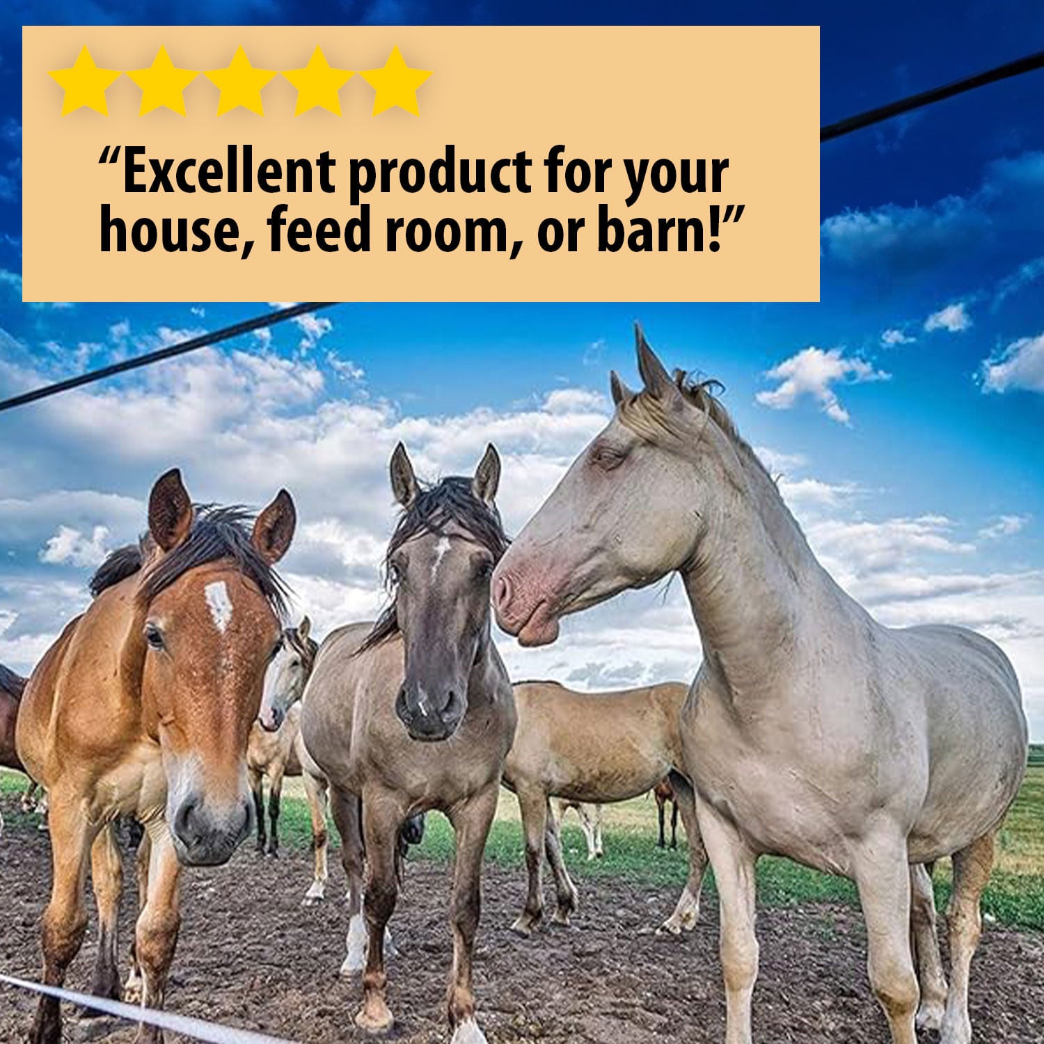 Country Vet Metered Fly Spray for Horses & Livestock – Effective Insect Repellent for Stables, Barns & Outdoor Use