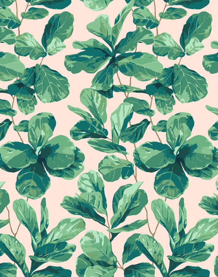 Nathan Turner Fiddle Fig Wallpaper - Peach Floral Peel and Stick Wallpaper for Living Room, Bedroom, and Nursery Decor