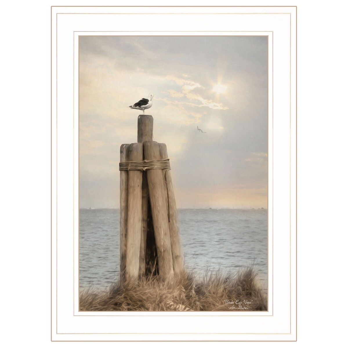 Birds Eye View By Lori Deiter - Premium Ready to Hang Framed Wall Art Print with White Frame - Perfect for Living Room, Bedroom & Office Decor