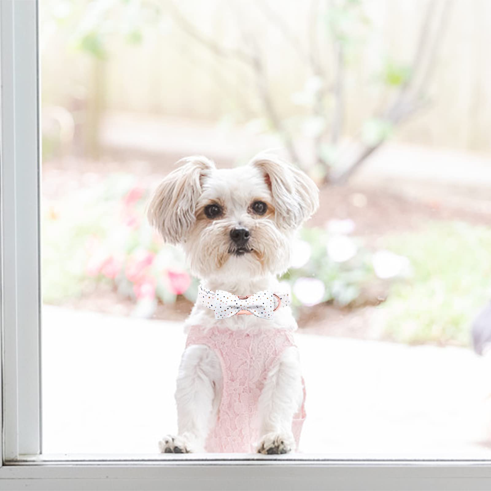 Elegant Bow Tie Dog Collar for Small Dogs - Adjustable Pet Collar for Male & Female Puppies - Perfect for Daily Walks, Pet Parties & Photo Shoots