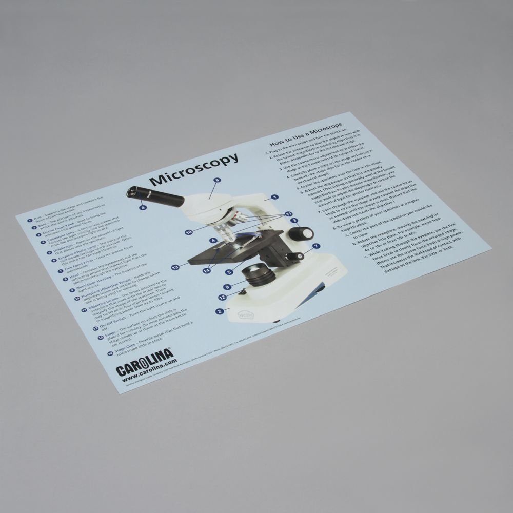 Carolina Introduction To Microscopy Mat - Premium Microscope Slide Mat for Students & Labs | Ideal for Science Classrooms & Biology Experiments