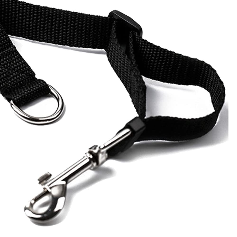 Drema Black Heavy-Duty Nylon Dog Training Leash - 10ft/20ft Retractable Lead for Puppy Obedience, Recall & Agility Training | Perfect for Outdoor Play, Safety, Camping, Backyard & Daily Walks