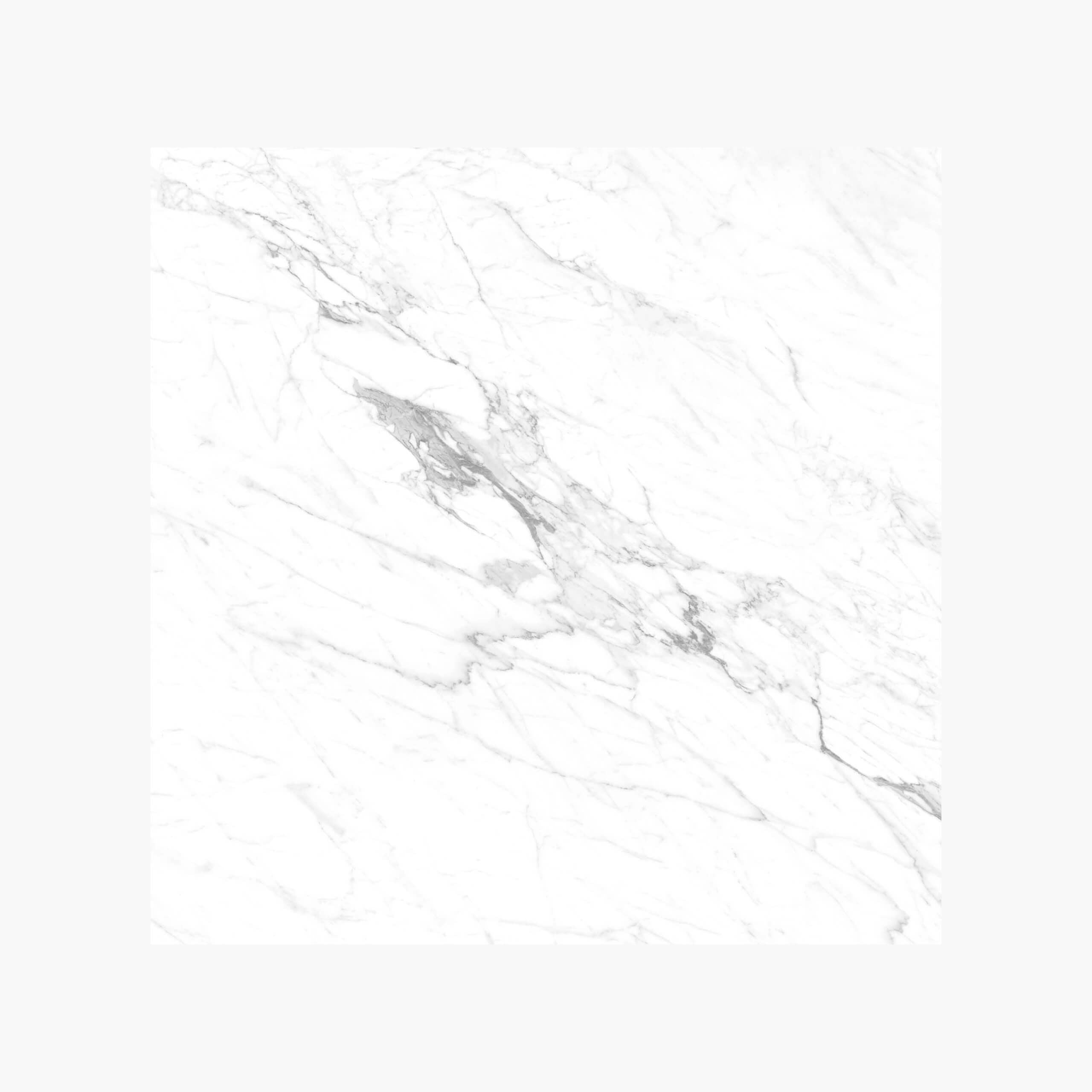 Premium Marble Snow White 600x600 Matt Tile Sample - Perfect for Bathroom, Kitchen & Living Room Flooring Renovation