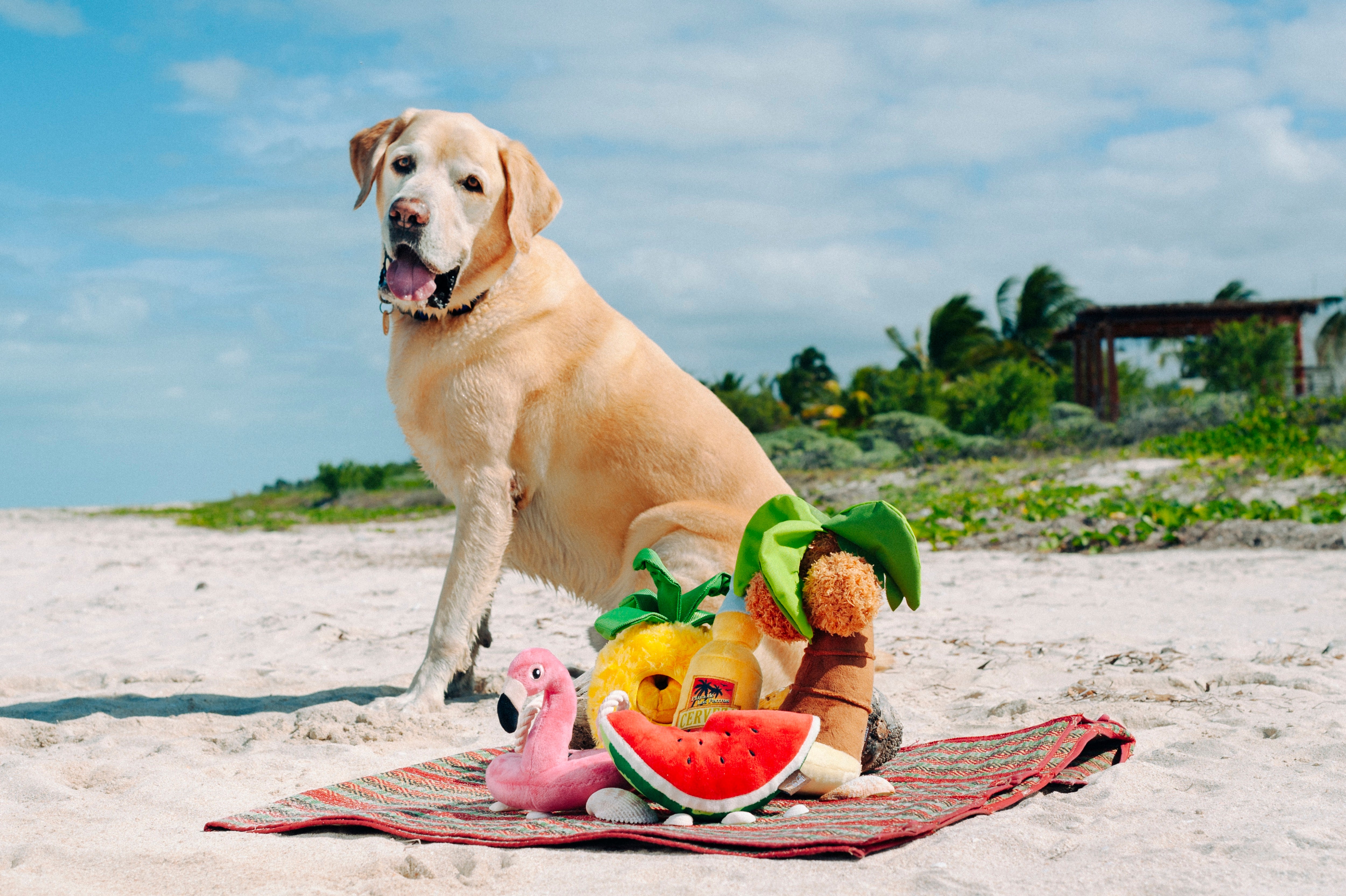 Tropical Paradise™ Dog Plush Toy - La Piña Chew Toy for Dogs | Soft & Durable Pet P.L.A.Y. Puppy Toy | Perfect for Playtime, Training & Cuddling