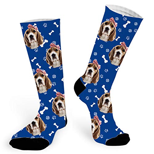 Blue Dog