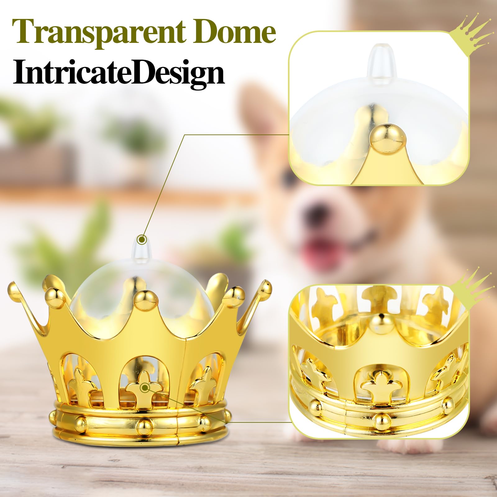 24-Piece Fillable Gold Crown Party Favors with Dome - Perfect for Birthday, Graduation & Celebration Decorations | JC Hummingbird JCHB | Great for Themed Parties, Photo Booths & Special Events