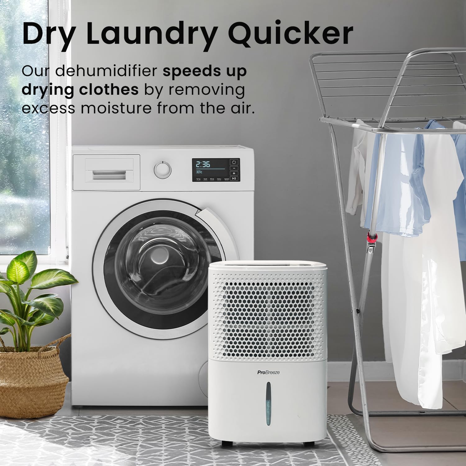 Pro Breeze® 12L/Day Energy Efficient Dehumidifier with Smart Humidity Sensor & Digital Display - 24H Timer, Laundry Drying Mode, Continuous Drain Option - Ideal for Basements, Bedrooms & Large Rooms (12 Liter, White)