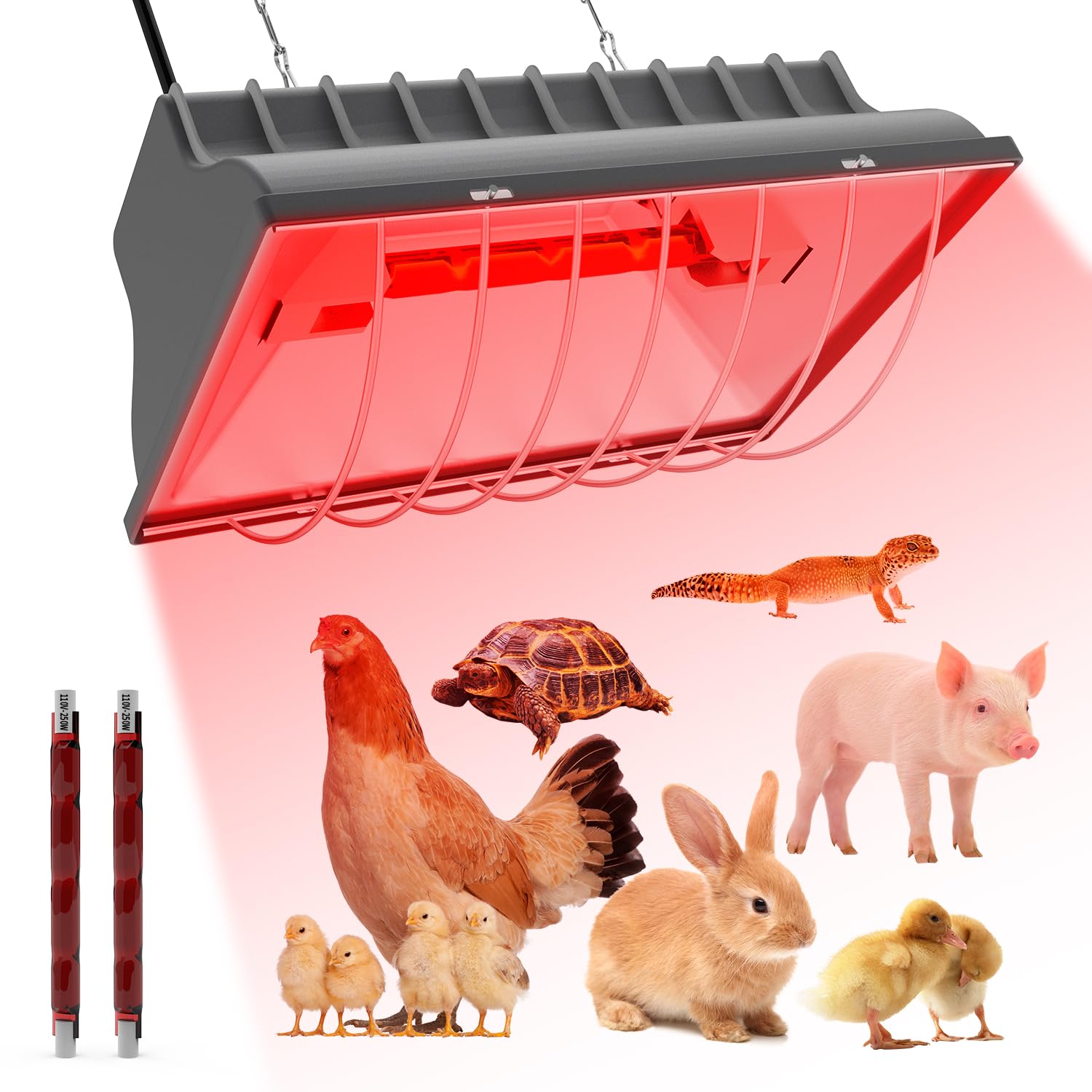 UTFEEDY 250W Aluminum Chicken Coop Heater - Adjustable Temperature Brooder Warmer for Chicks, Ducklings & Small Pets | 8ft Iron Chain | Safe Heating Plate for Amphibians, Livestock & Poultry | Perfect for Winter Care & Indoor/Outdoor Use