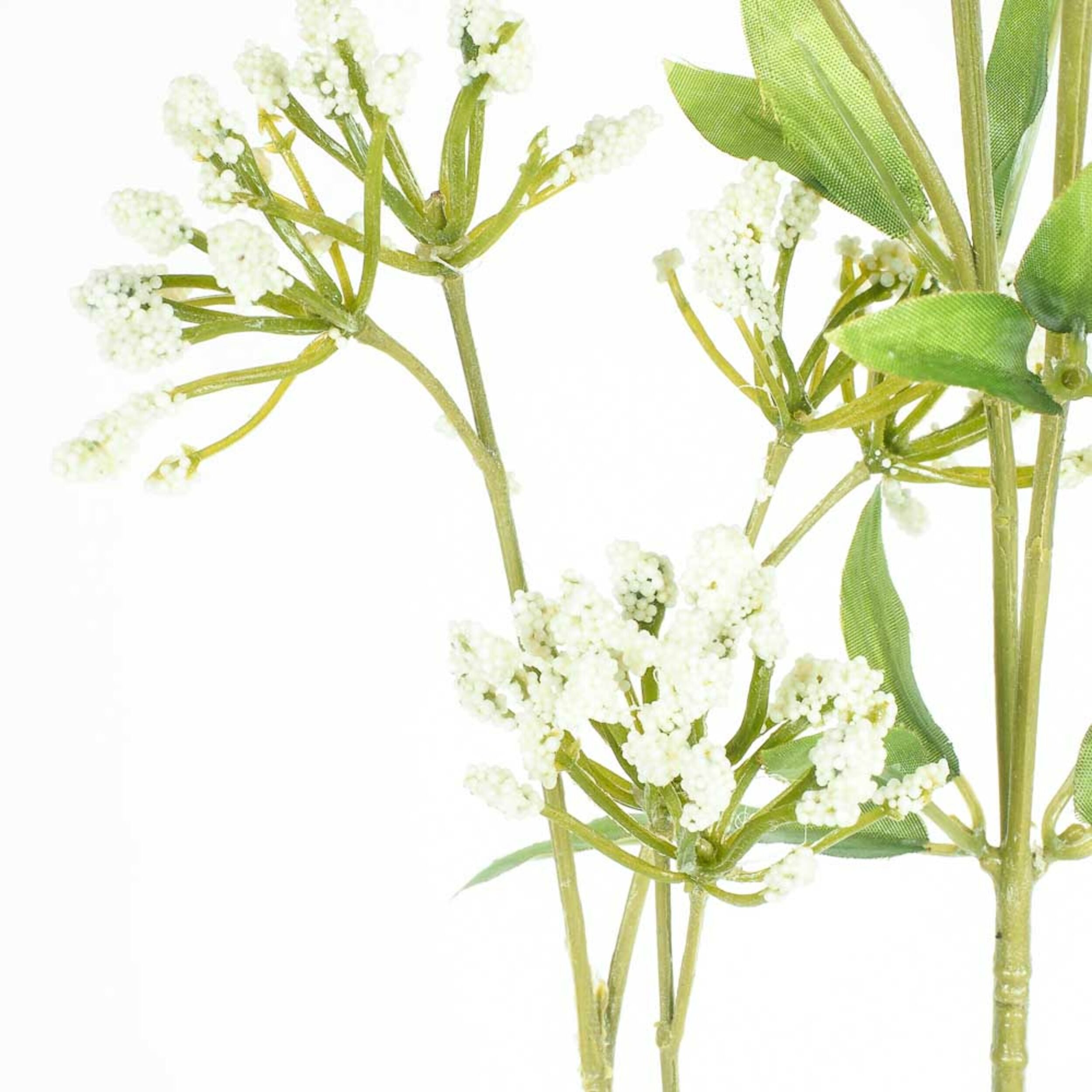 Acacia Mollis 80cm Artificial Tree - Realistic Fake Plant for Home Office Decor, Wedding Centerpieces & Indoor Greenery