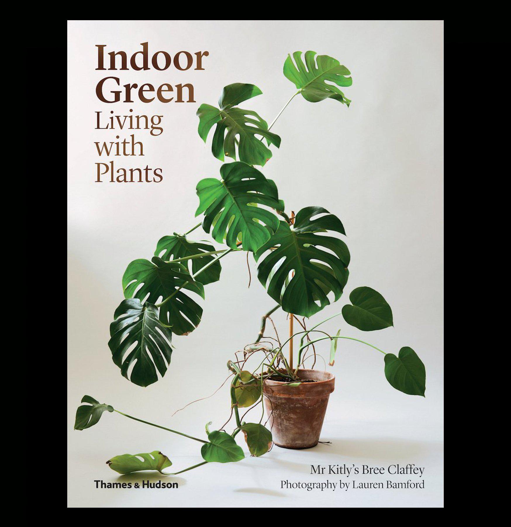 Indoor Green: Living With Plants - Best Houseplants for Home Decor & Air Purification | Perfect for Living Rooms, Bedrooms & Offices