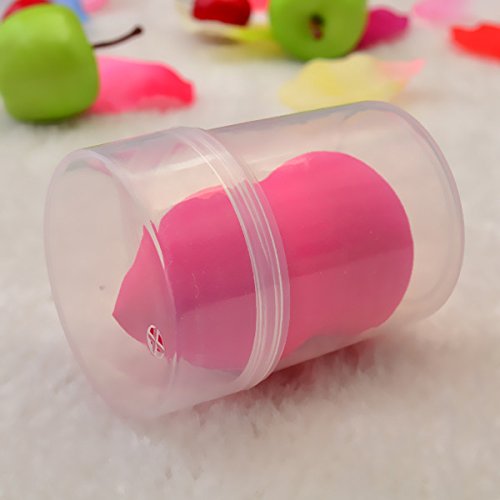 1Pc Clear Mini Puff Sponge Storage Box - Portable Makeup Organizer Case for Beauty Blenders & Cosmetic Tools | Travel-Friendly, Compact Design