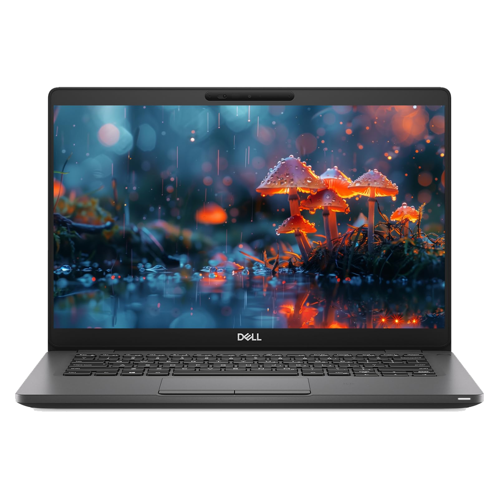 Dell Latitude 5300 13.3'' Laptop - Intel Core i5-8365U, 16GB RAM, 512GB SSD, Windows 10 Pro (Renewed) | Business Notebook with Webcam, WiFi, USB-C & Ethernet | Ideal for Remote Work, Office & School