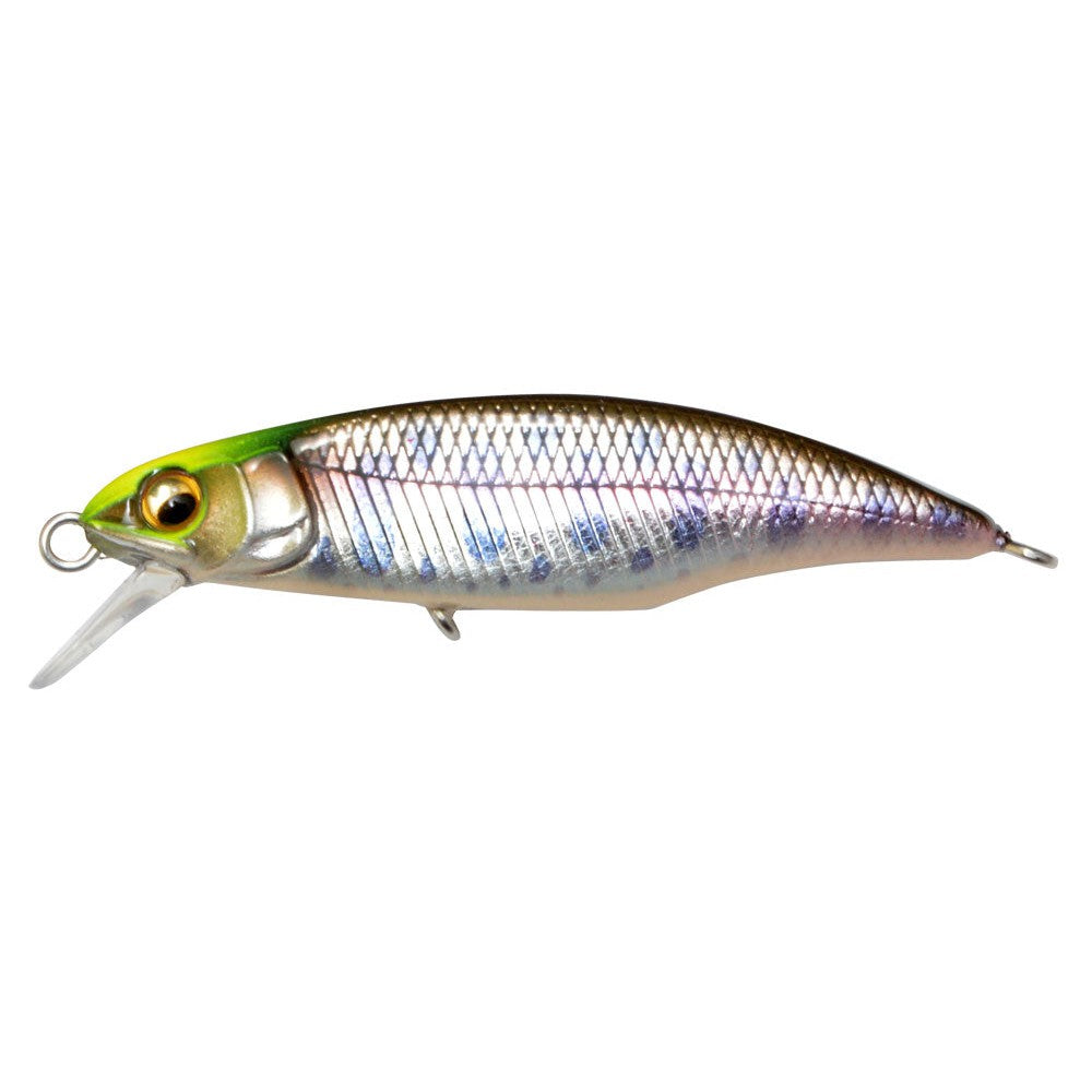 Takumi Iwana #2
