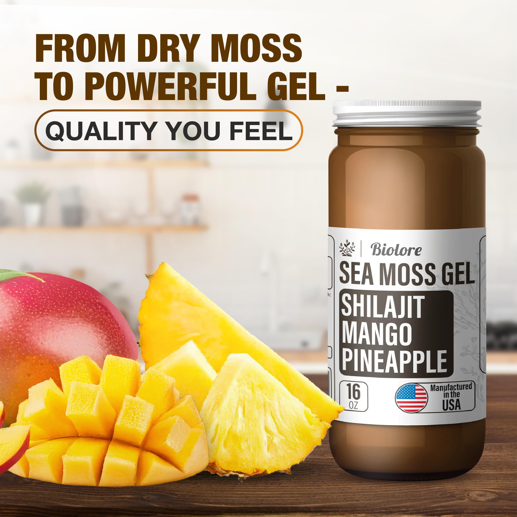 Biolore Wildcrafted Irish Sea Moss Gel with Shilajit - 16oz | Vegan Superfood Rich in Essential Vitamins & Trace Minerals | Made in USA | Supports Digestion, Immunity & Skin Health