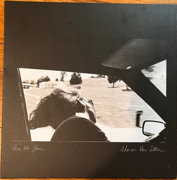 Sharon Van Etten - Are We There Vinyl LP Album (Mint Condition) | Limited Edition, Indie Rock Music for Home Listening & Record Collectors
