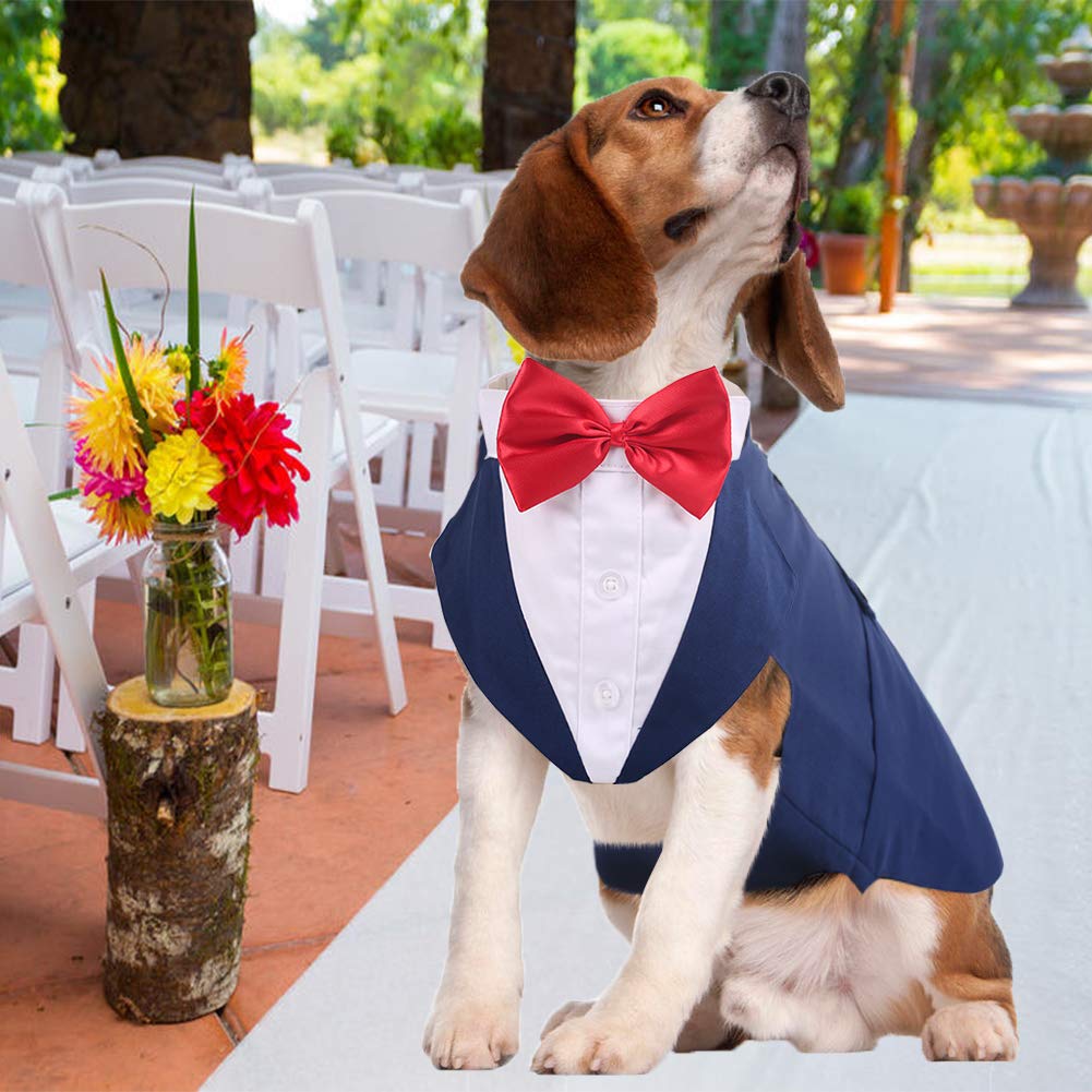 QBLEEV Dog Tuxedo for Large Dogs - Formal Dog Suit with Bow Tie & Bandana Set | Wedding, Halloween, Christmas & Birthday Party Costume | Blue | Perfect for Special Occasions & Cosplay Events