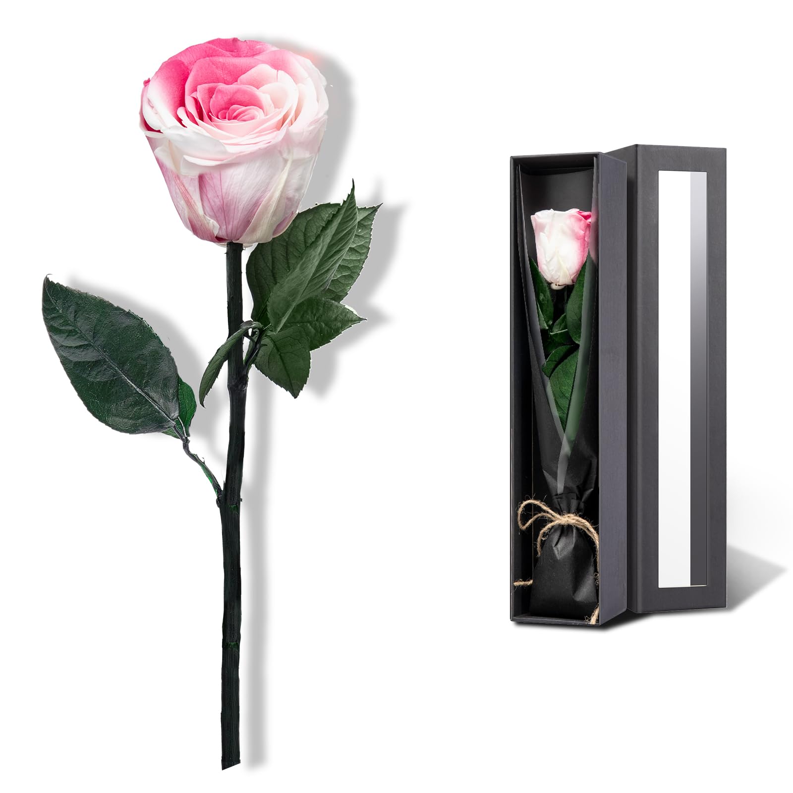 Eternal Preserved Rose Gift - Real Long-Lasting Single Rose for Women, Birthday & Valentine's Day Flowers for Girlfriend - Gradient Color Preserved Flower Arrangement (Perfect for Home Decor, Wedding Centerpieces & Romantic Gift Giving)