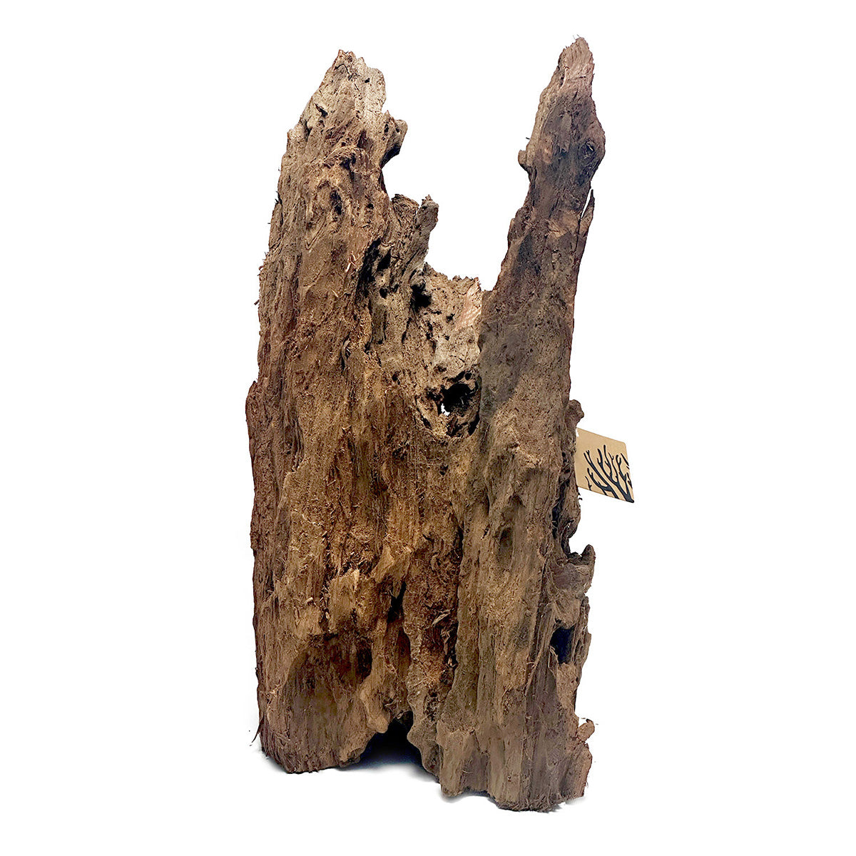 Premium SR Aquaristik Malaysian Mangrove Wood for Aquariums - Natural Driftwood Decor for Fish Tanks, Terrariums & Reptile Habitats - Enhances Water Quality & Creates Natural Habitat (Perfect for Shrimp, Betta Fish & Aquatic Plants)