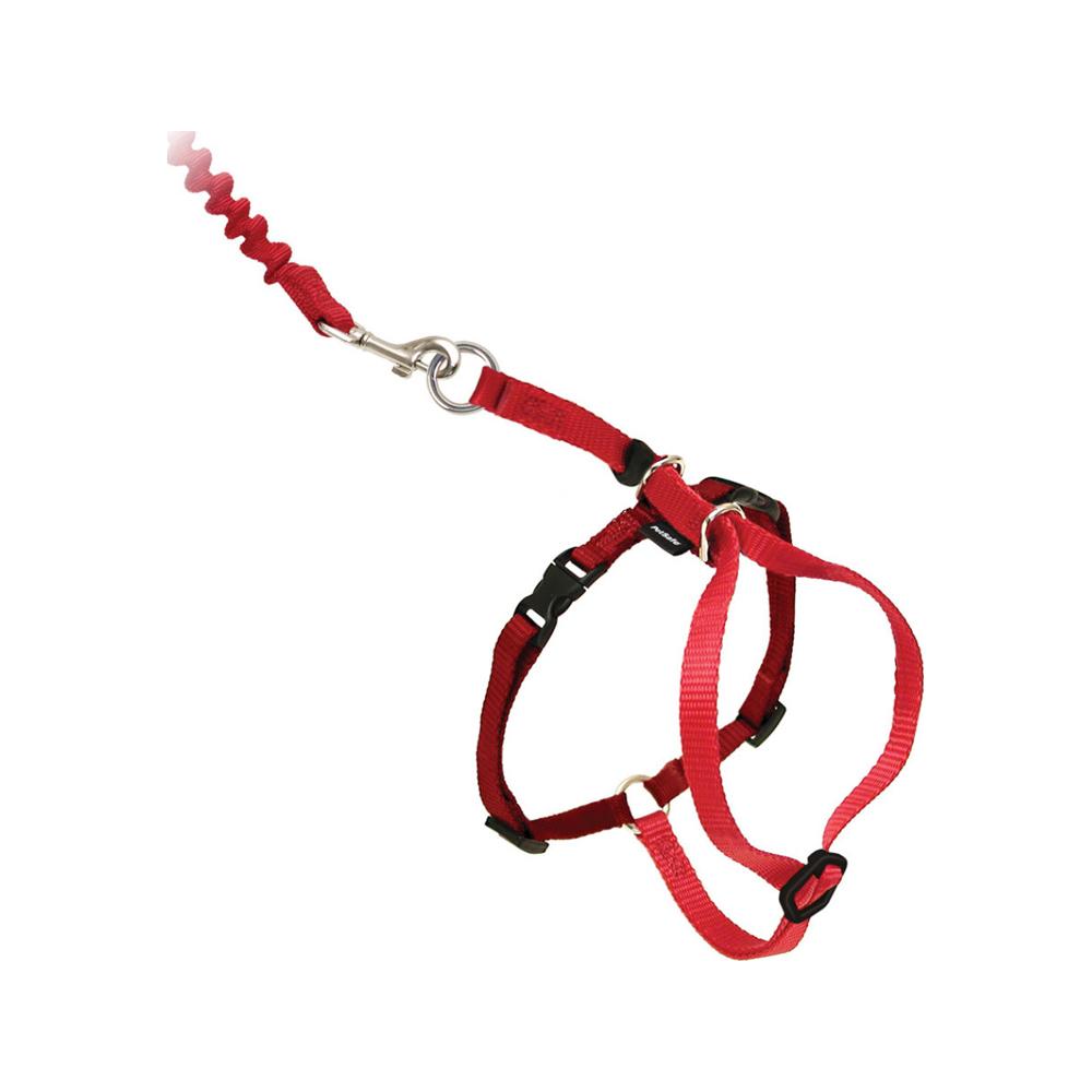 Come With Me Kitty Cat Harness and Bungee Leash Set - Adjustable Pet Safety Vest for Indoor/Outdoor Adventures