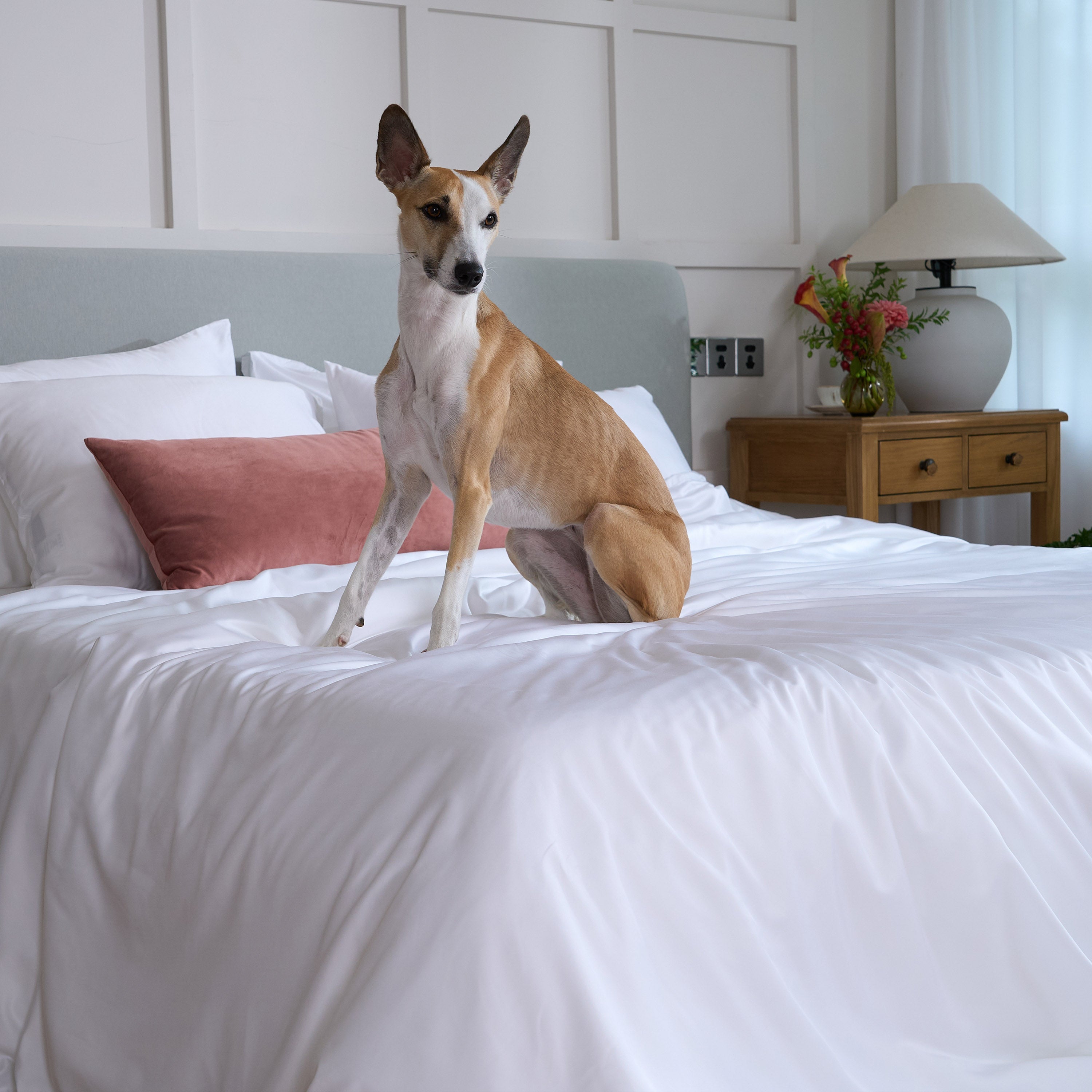 FURRFREE Bamboo Flat Sheet - Hypoallergenic & Pet Hair Repellent Bedding for Dogs and Cats | Soft Breathable Sheets for Pet Owners | Perfect for Allergy Relief and Cozy Pet-Friendly Homes