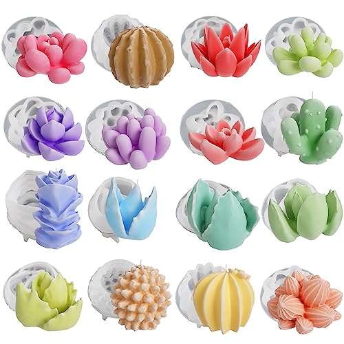 succulent-16-pack