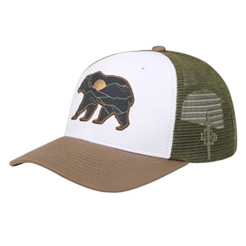 Boreal Bear