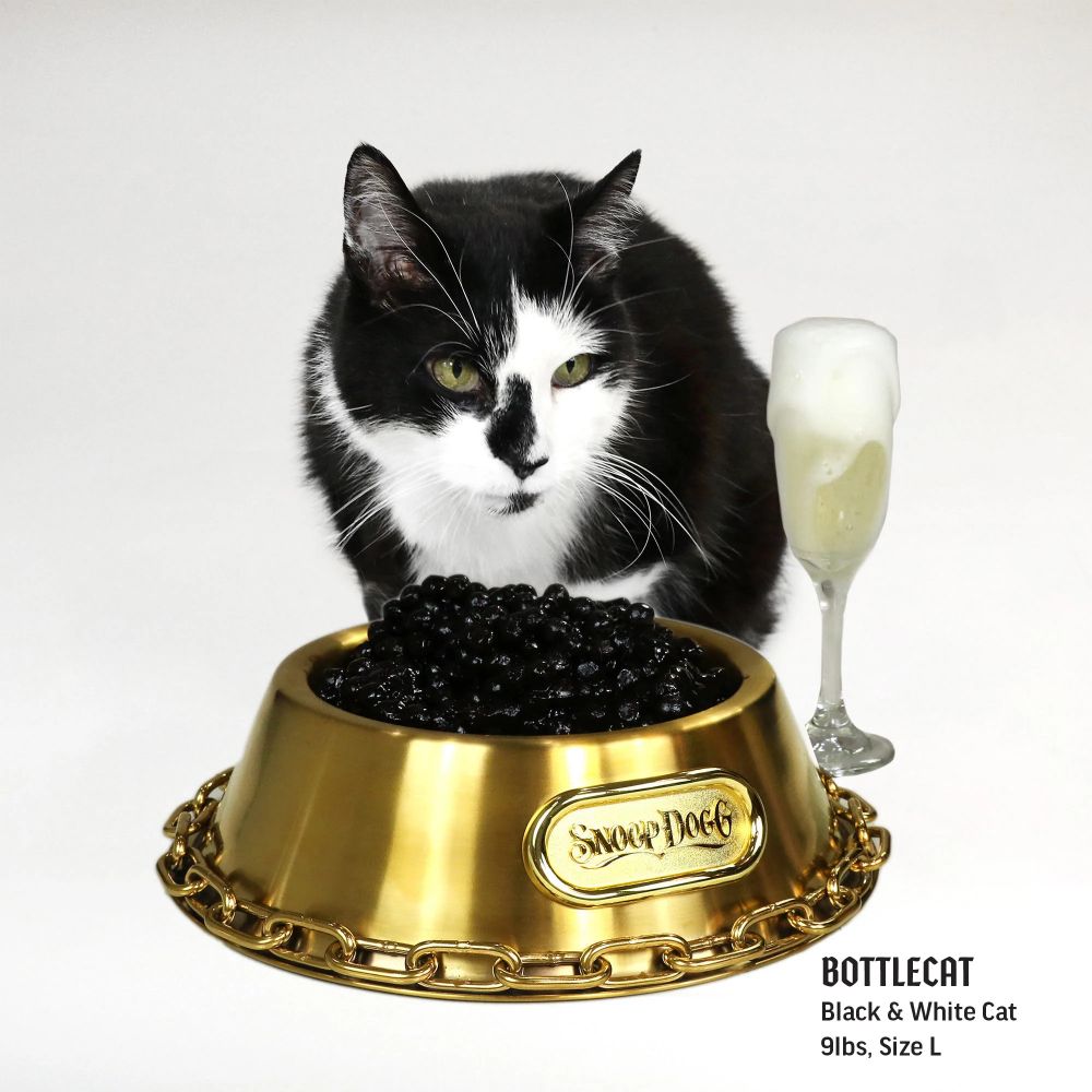 Premium Gold Pet Bowl for Dogs & Cats - Non-Slip Stainless Steel Pet Food & Water Dish - Elegant Raised Feeder for Small & Large Pets - Perfect for Home, Travel & Outdoor Use
