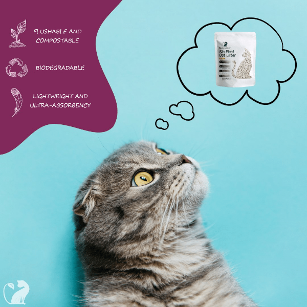 Natural Biodegradable Plant-Based Cat Litter - Eco-Friendly & Clumping - Original Formula for Odor Control | Perfect for Multi-Cat Homes & Small Spaces