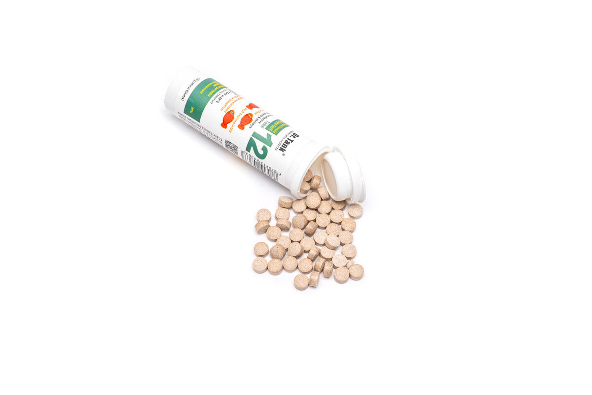 Dr. Tank White Spot Out Ich Treatment for Freshwater & Saltwater Aquariums – Fast-Acting Fish Medication for Ich Disease Control – Ideal for Home, Office, and Pet Store Aquariums