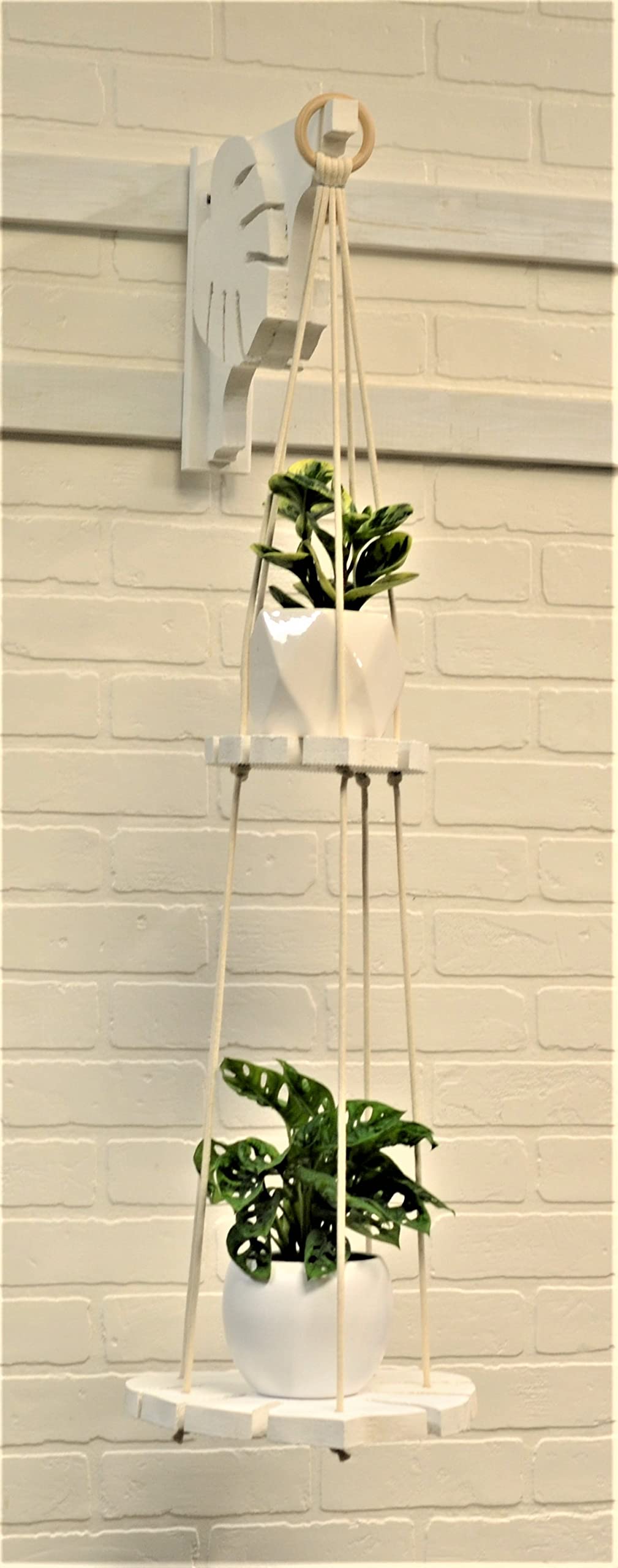 Monstera Leaf Wall Mount with Hanging Plant Shelf - Painted Green & Pink Rope - Perfect for Boho Home Decor, Living Room, Bedroom, or Office Plant Display