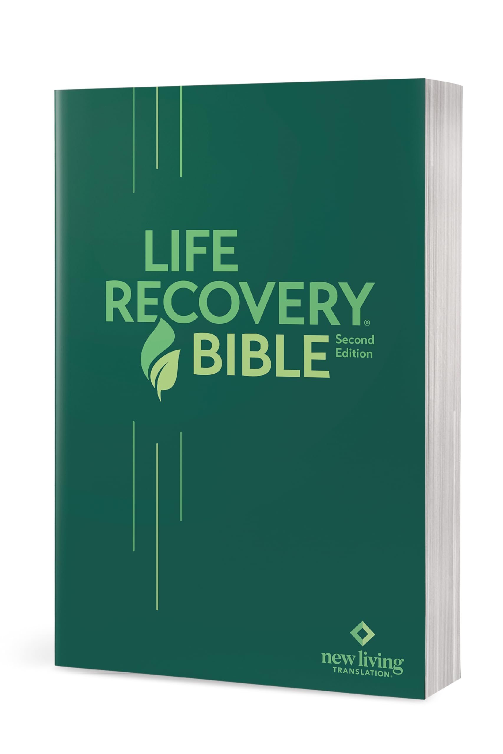 Life Recovery Bible, 2nd Edition Softcover – 12-Step Addiction Recovery Bible for Drugs, Alcohol & Personal Struggles with Meeting Guide | Christian Devotional, Support Groups & Spiritual Healing