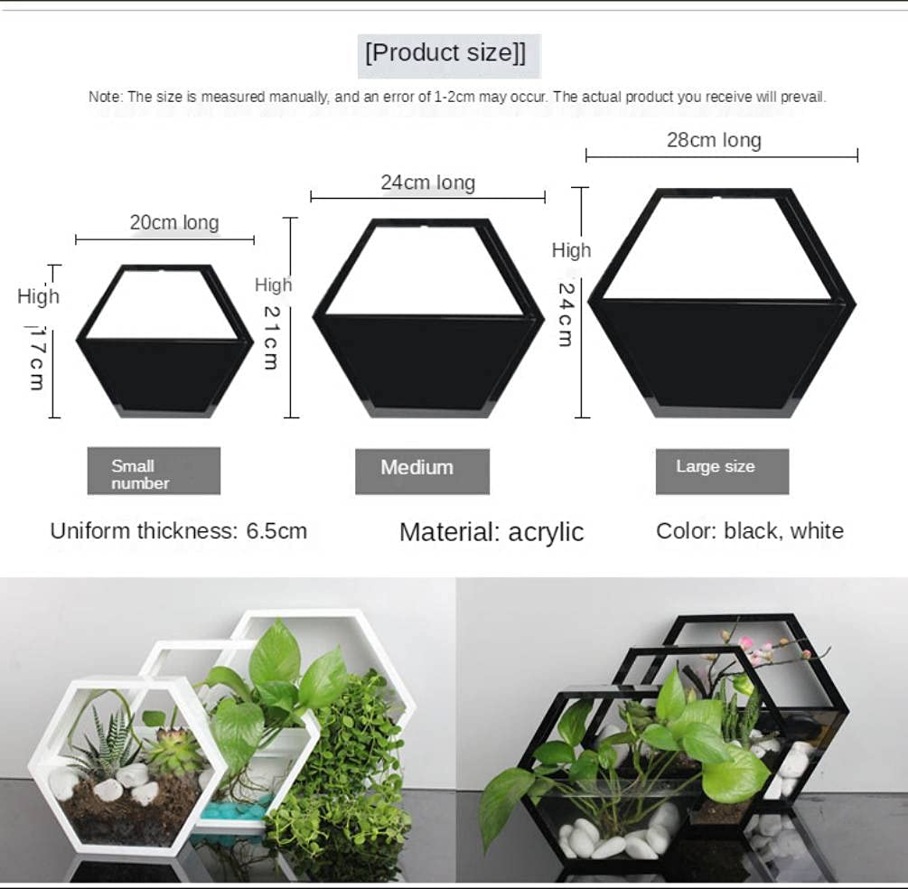 SSZ Creative Wall Hanging Hydroponic Plant Pots with LED Lights - White Small Indoor Garden Decor for Living Room, Bedroom, Office - Perfect for Home Decor, Vertical Gardening & Urban Farming