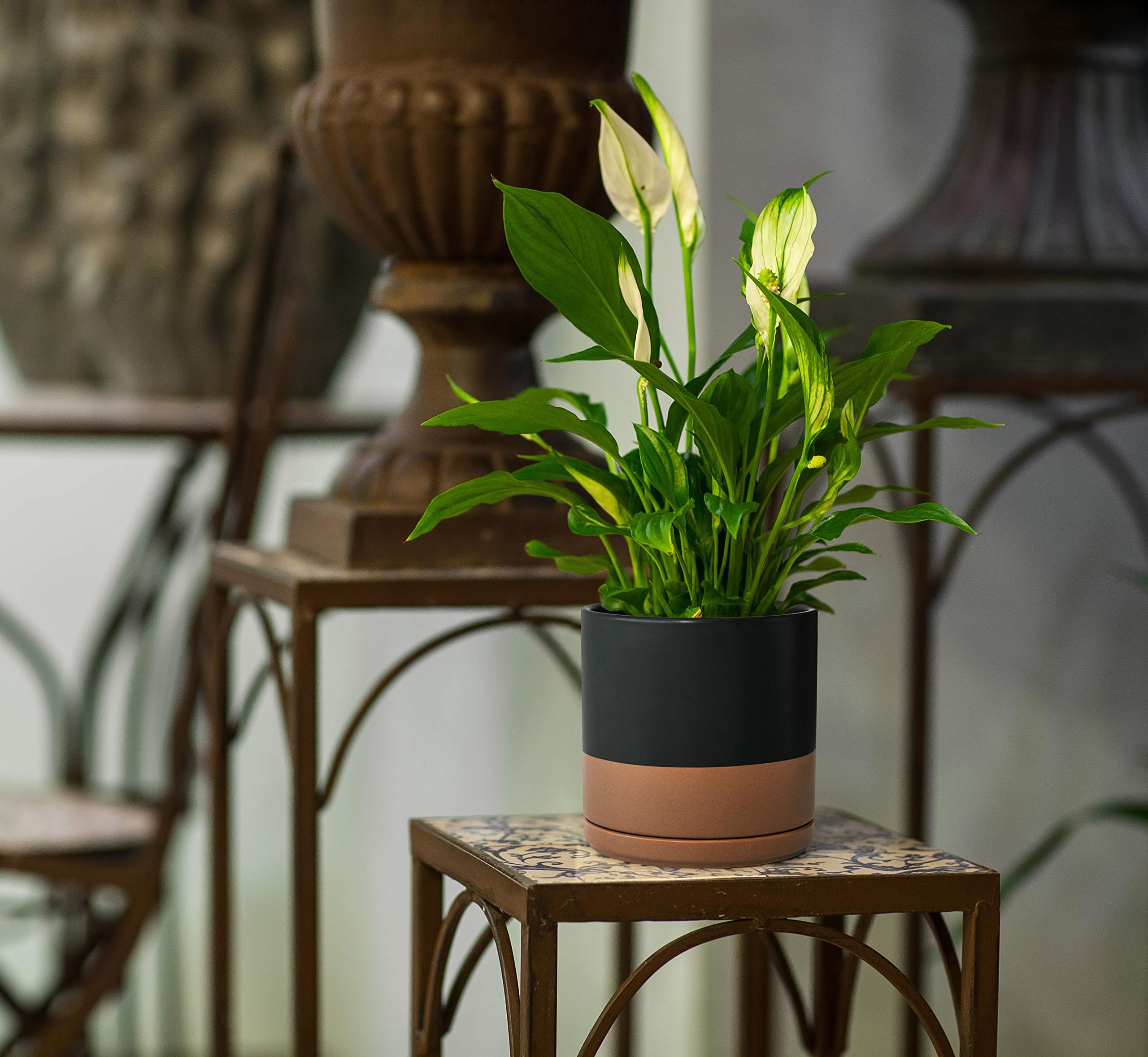 8 Inch Ceramic Planter Pot with Drainage Hole & Saucer - Indoor Cylinder Flower Pot for Plants, Black/Speckled Tan - Perfect for Home Decor, Office Desk, Living Room & Garden Decorations