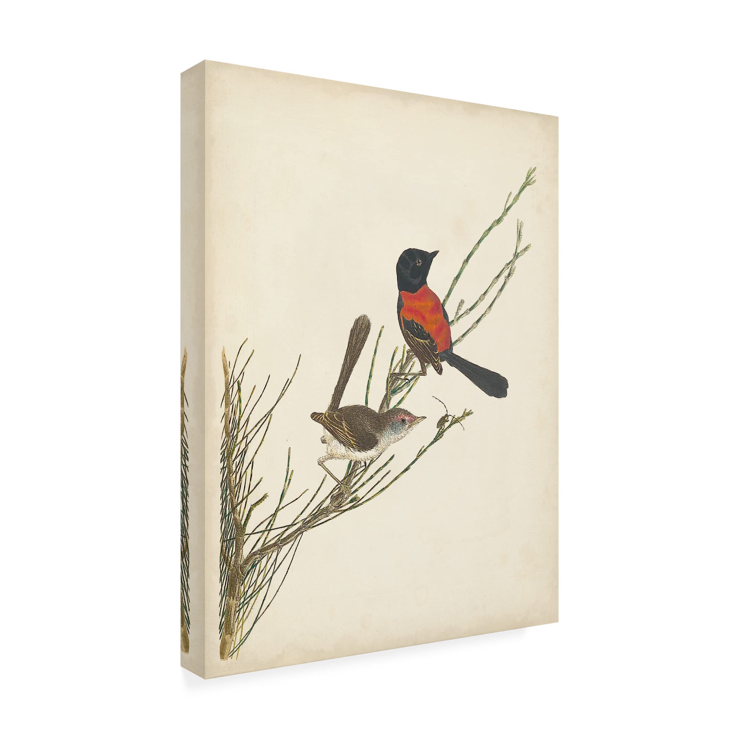 Trademark Fine Art 'Graceful Birds III' Canvas Wall Art Print - Modern Home Decor for Living Room, Bedroom & Office - Vision Studio Nature-Inspired Painting